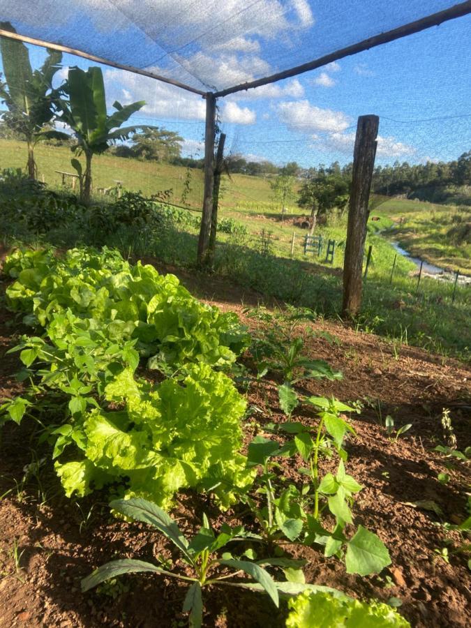 Sitio Metropole - Refugio Na Natureza Piraju Kültér fotó
